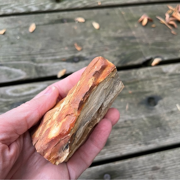 Petrified Wood 2 Piece Set - Picture 9 of 16